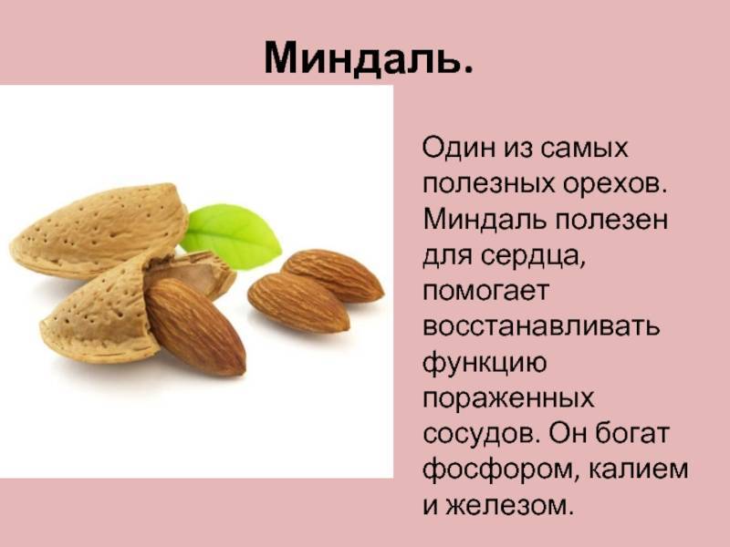 Орехи миндаль польза и вред при диабете калорийность