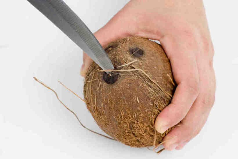 Как открыть кокос в домашних условиях правильно, быстро и легко, видео