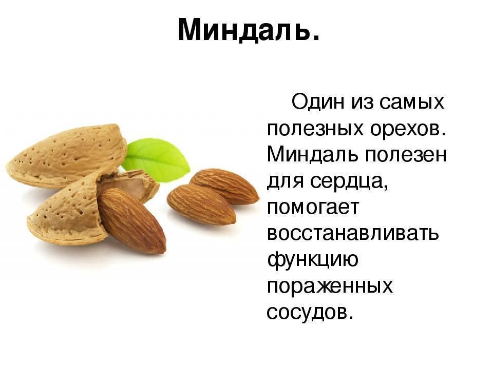 Миндаль или грецкий орех: как определить, что полезнее, а что вреднее и чему лучше отдать предпочтение?