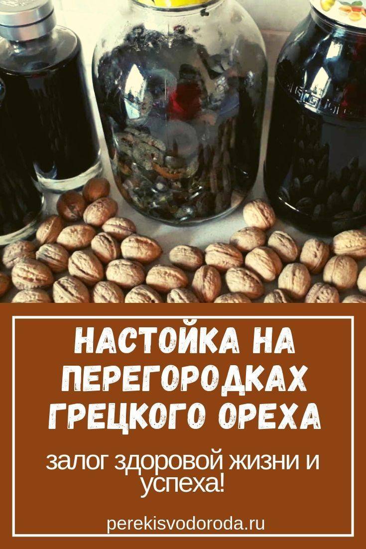 Настойка грецкого ореха – полезные свойства и применение