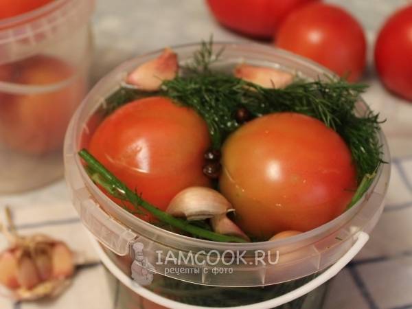 Соленые помидоры в банках, как бочковые: 6 простых рецептов. обсуждение на liveinternet