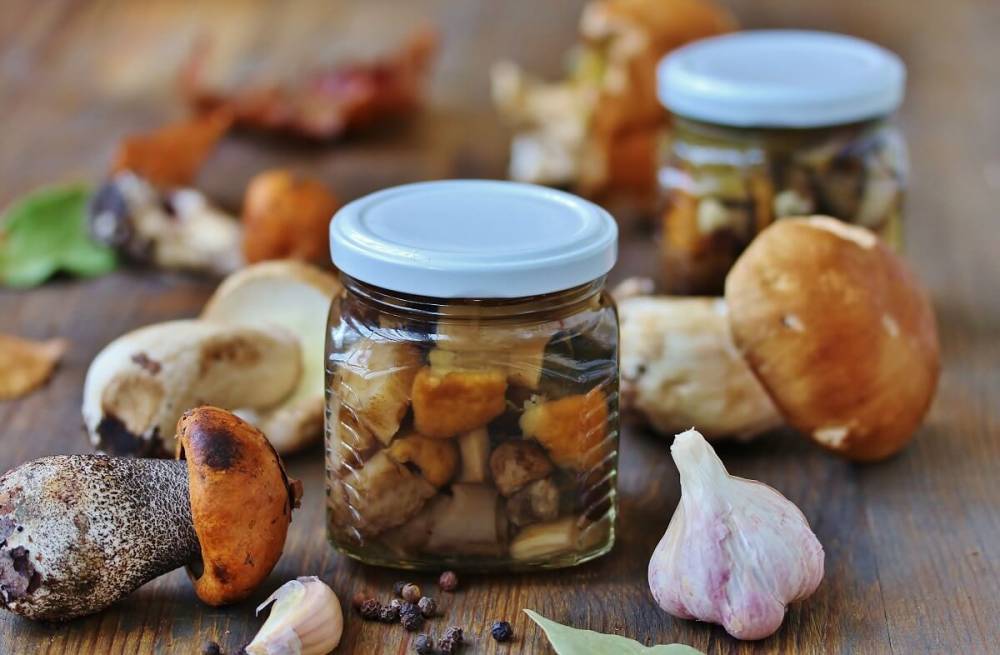 Соление грибов: рецепты заготовок на зиму