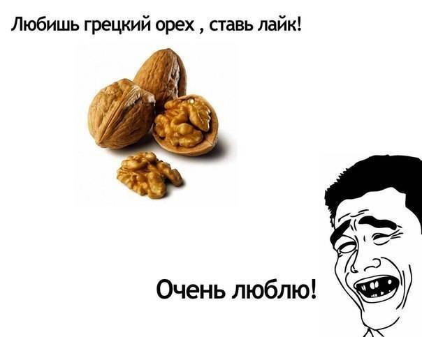 Орехи: польза и вред