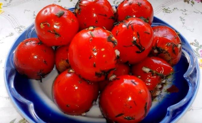 Малосольные помидоры. рецепт классический быстрого приготовления с чесноком, зеленью, уксусом в пакете