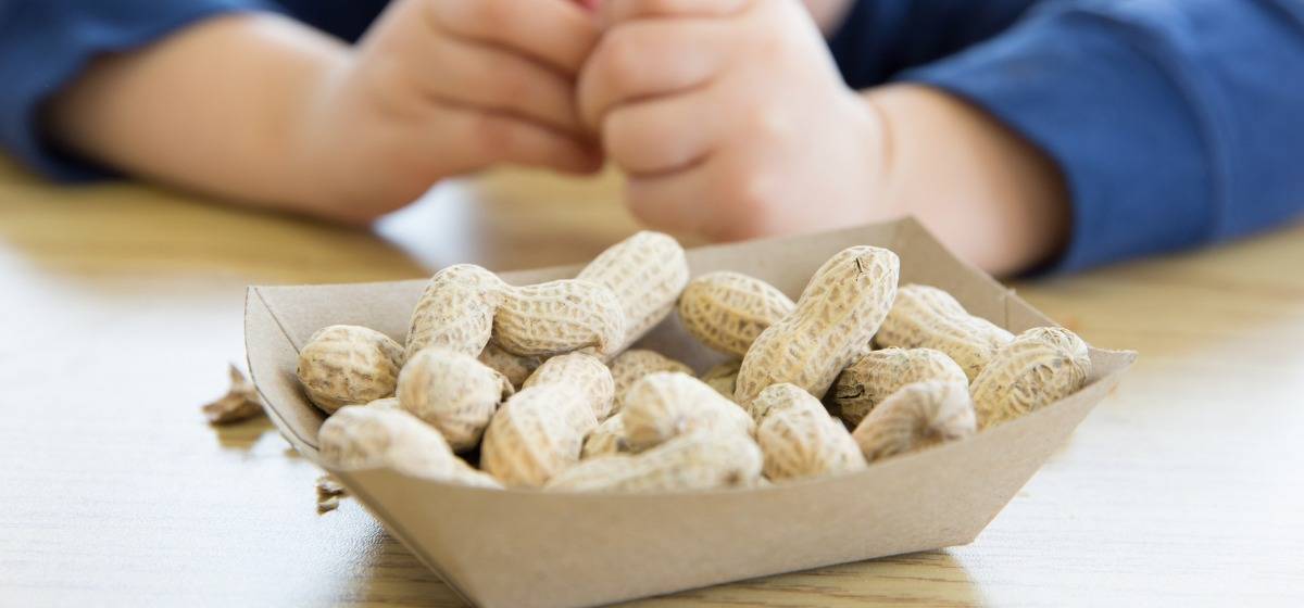 Орехи детям грецкие фундук кедровые арахис кешью