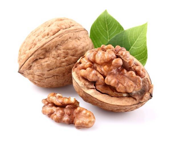Перегородки грецких орехов: лечебные свойства, при каких болезнях применяют