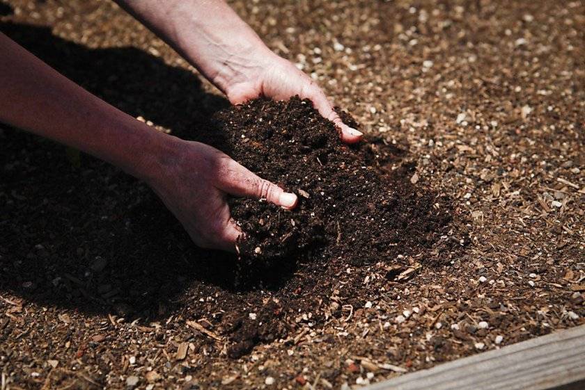 Суглинистая почва – самый плодородный вид грунта | огородники