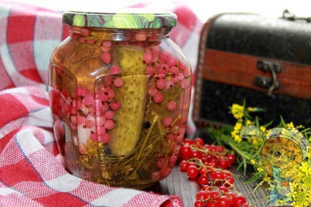 Огурцы с красной смородиной на зиму - рецепты от лучших мастеров консервации