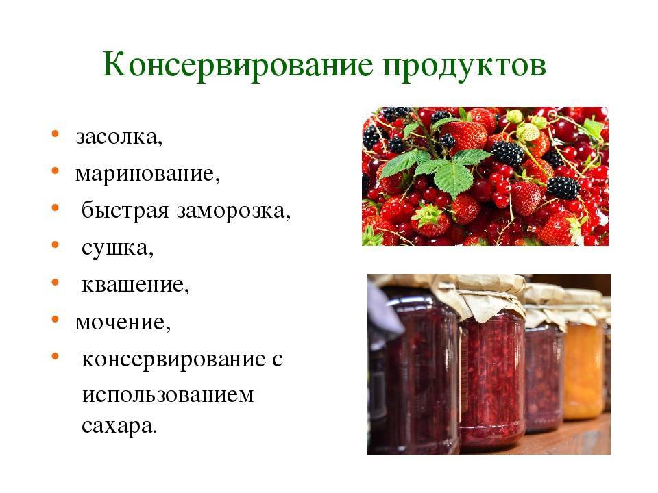 Основные способы консервирования фруктов и ягод. заготовки и соленья