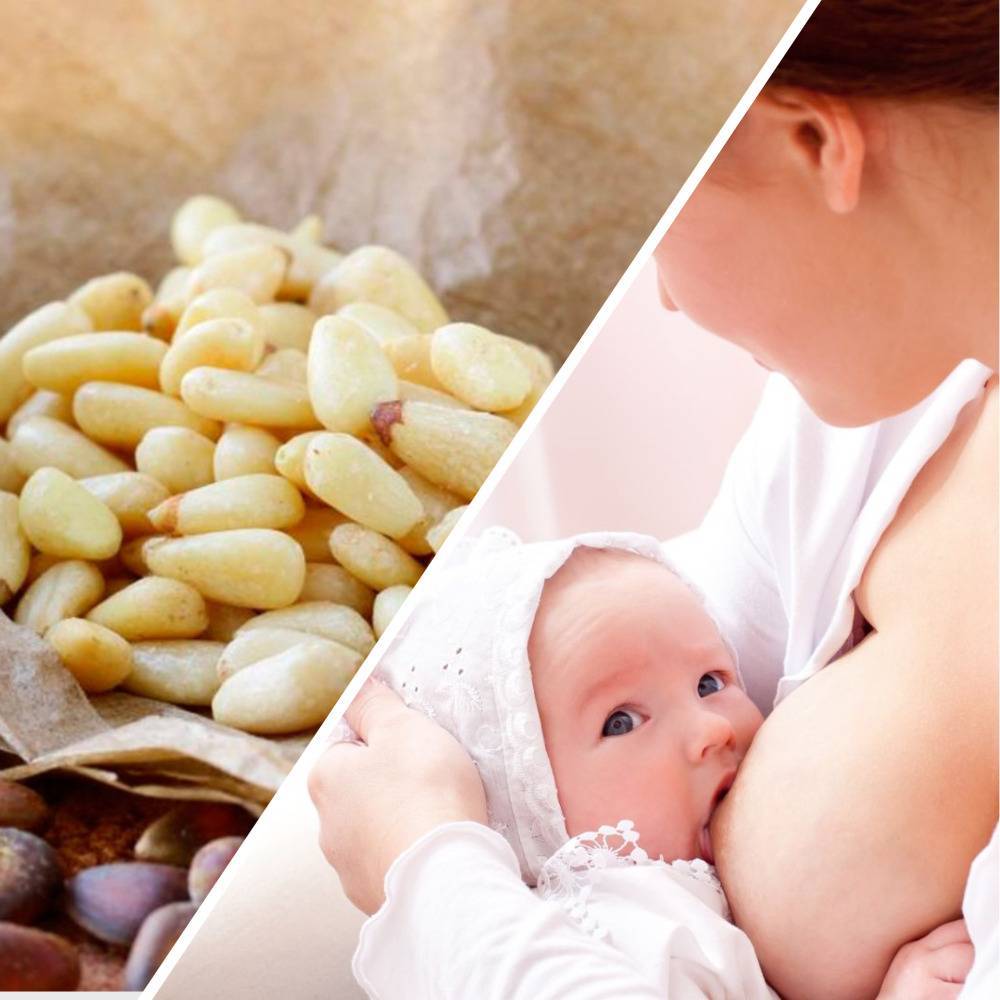 Орехи при грудном вскармливании: какие можно есть кормящей маме и сколько, полезны ли во время кормления новорожденного грудью и как влияют на улучшение молока?