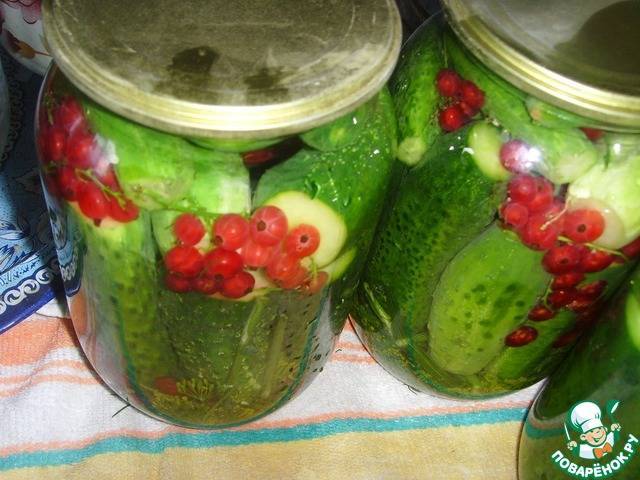 Стрелки чеснока, маринованные в соке красной смородины. секреты домашних маринадов