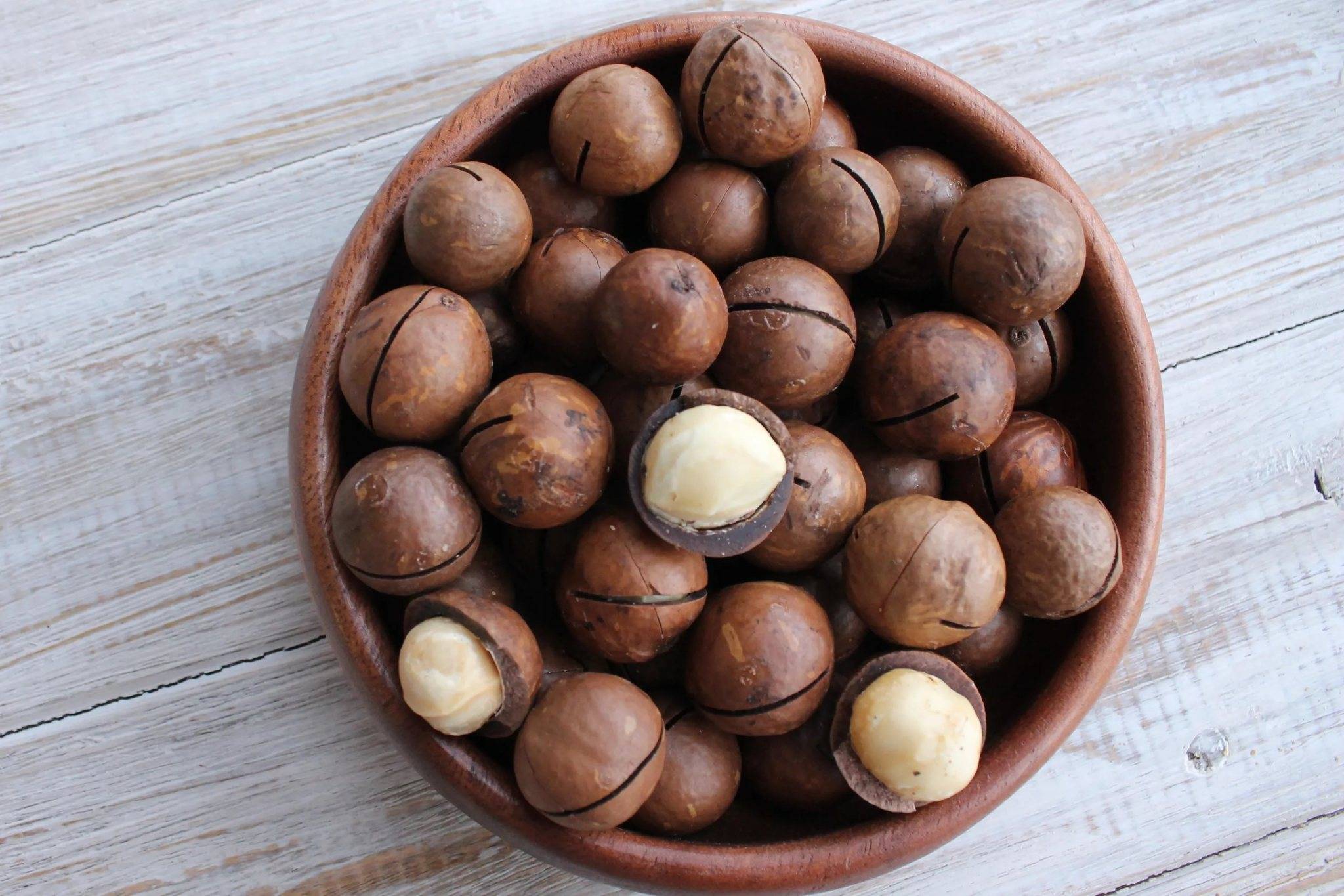 Где растет орех макадамия, чем он полезен? интересные факты и применение продукта