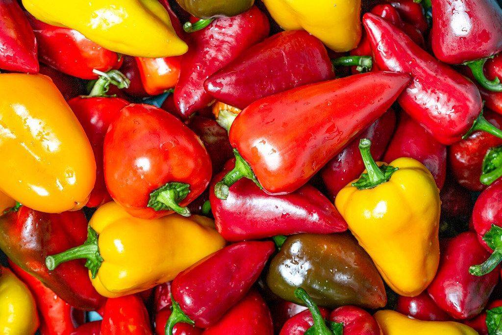 Почему болгарский перец — «болгарский» и что это за фрукт?