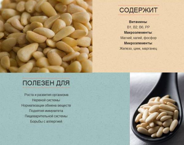 Кедровые орехи: польза и вред, калорийность, бжу