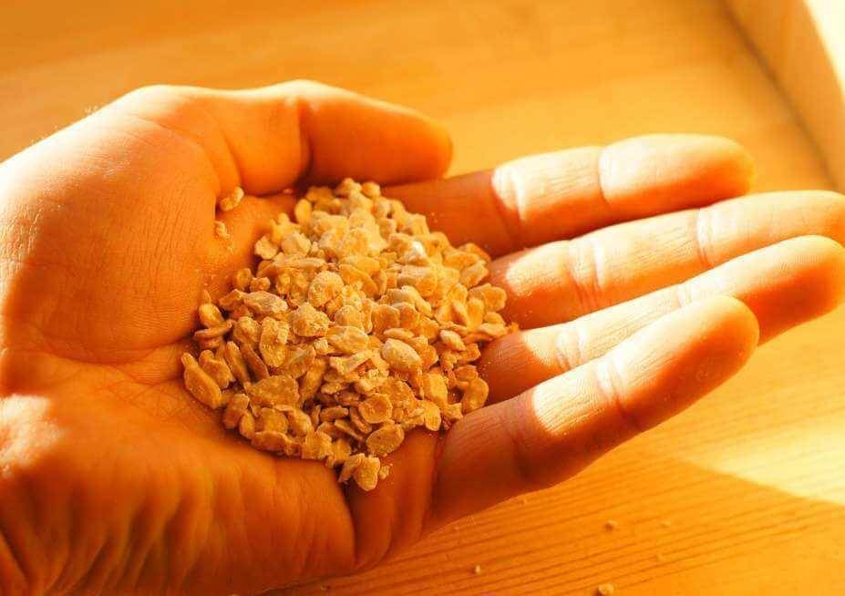Кедровые орехи: польза и вред для организма, лечебные свойства, отзывы