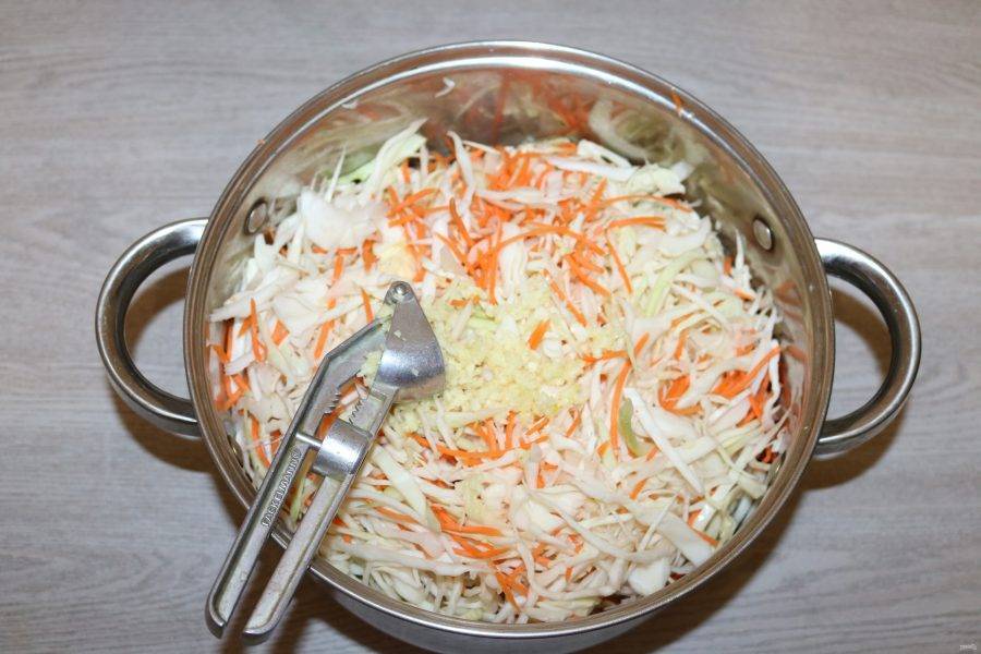 Суточная капуста: рецепт с чесноком и моркрвью