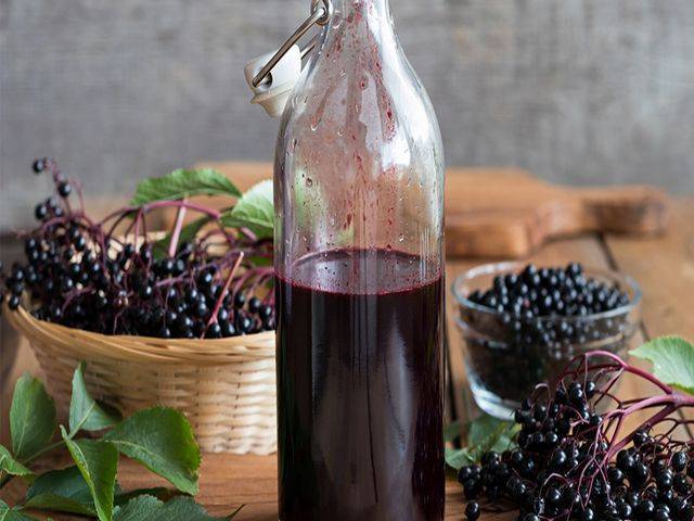 Три простых рецепта вина из черноплодной рябины – как сделать вкуснейший домашний напиток?