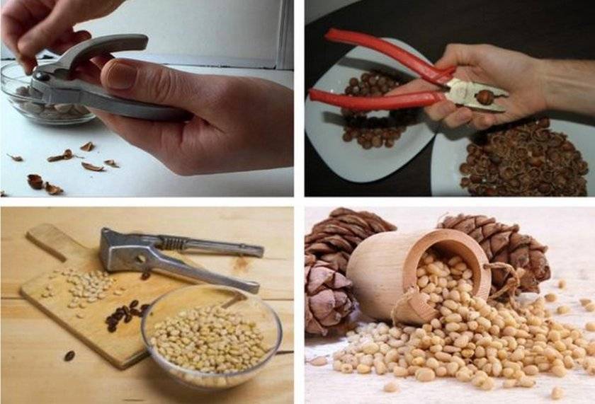 Самогон на кедровых орехах – рецепты на ядрах и скорлупе