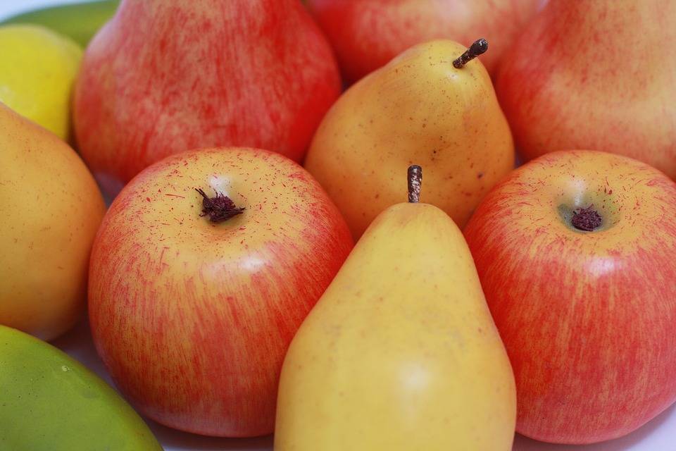 Как сохранить урожай яблок на длительный срок и груш