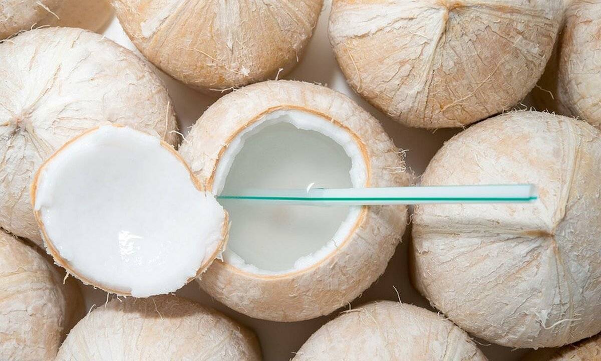 Что такое кокос: это орех или фрукт