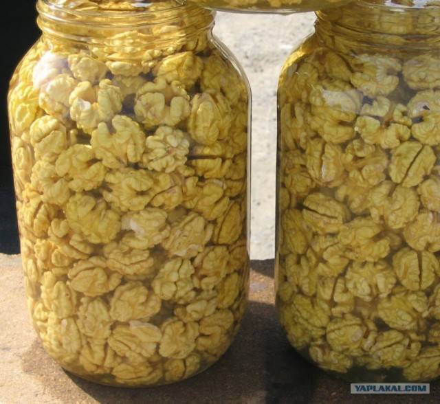 Особенности хранения очищенных грецких орехов и ядер в скорлупе