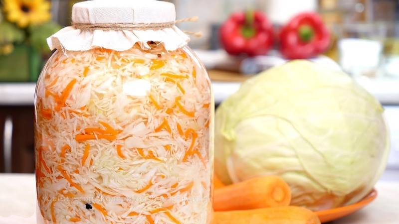 Маринованная капуста на зиму в банках: 10 лучших рецептов очень вкусной капусты