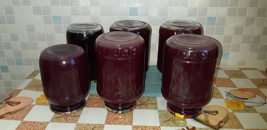 Как сделать виноградный сок в домашних условиях на зиму