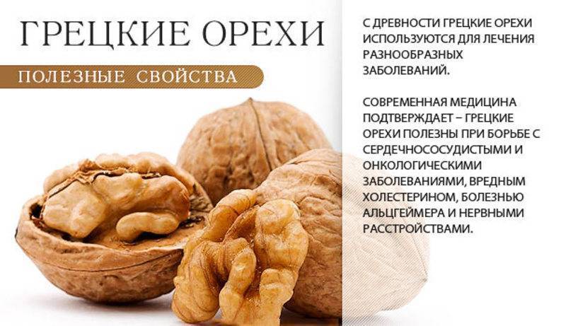 Чем полезен грецкий орех для мужчин: польза и вред для организма
чем полезен грецкий орех для мужчин: польза и вред для организма