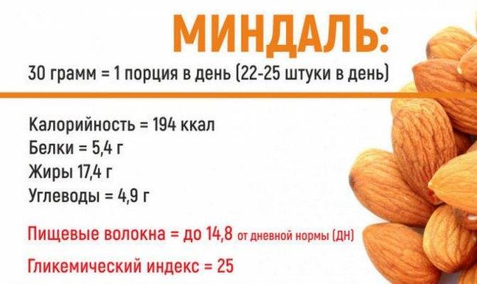 Орех макадамия при похудении: можно ли его кушать тем, кто хочет сбросить вес, когда употреблять запрещено, а также кбжу на 100 грамм и рецепты