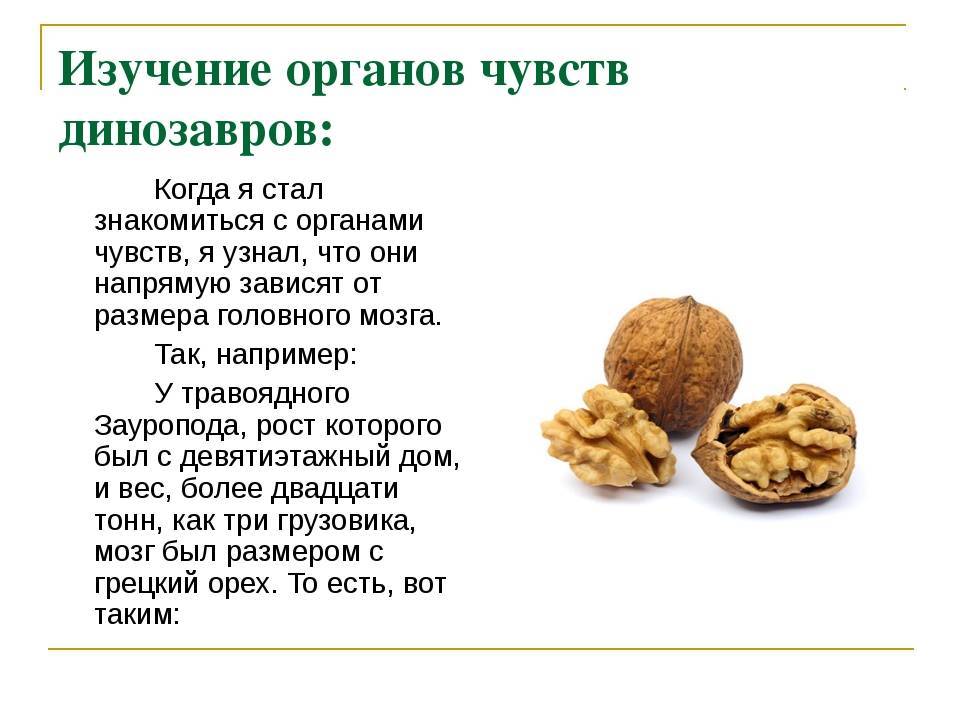 Грецкий орех польза и вред: витамины в грецких орехах биохимические состав пищевая ценность калорийность белков жиров углеводов противопоказания