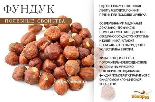 Полезные свойства и противопоказания зелёного грецкого ореха, а также варенья из него, рецепты от различных заболеваний medistok.ru - жизнь без болезней и лекарств