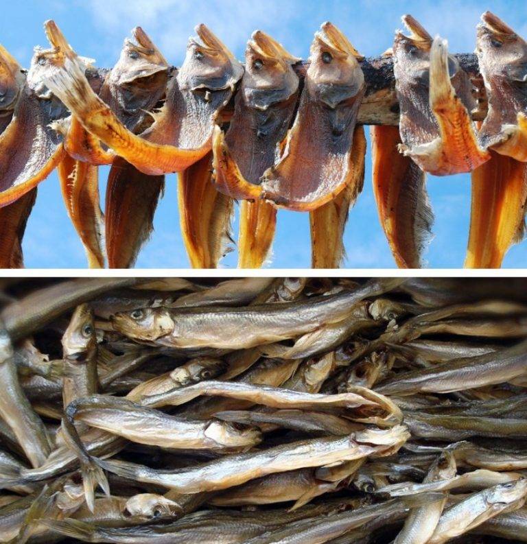 Рассол для рыбы: варианты приготовления. как посолить рыбу в домашних условиях