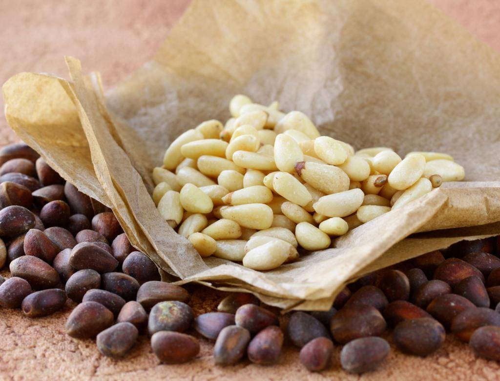 Кедровые орехи — польза и вред