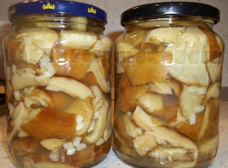 Грибы маринованные на зиму, 13 рецептов приготовления, способы маринования грибов