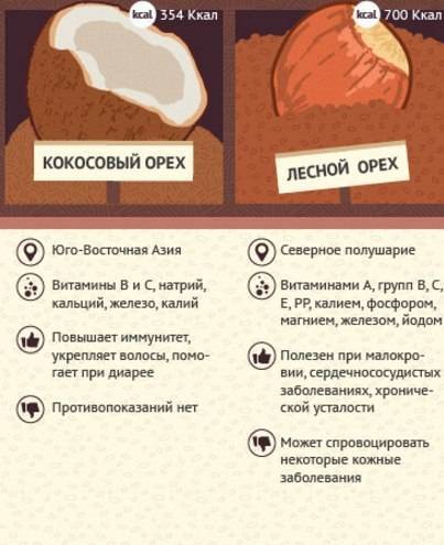 Грецкий орех – польза, вред и противопоказания ореха