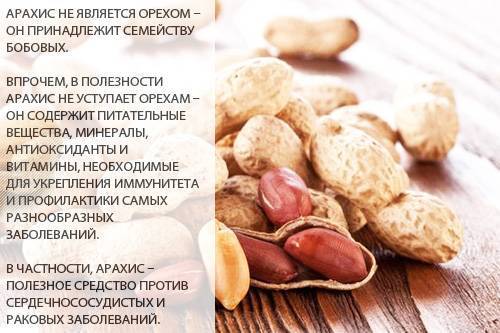 Польза арахиса для организма человека, фото, калорийность