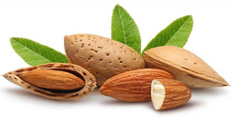 Польза ореха миндаля для организма: узнайте 9 супер свойств