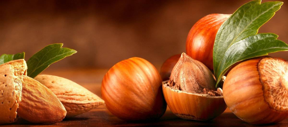 Бизнес-расчеты насаждения орехового сада (грецкий орех) на 2015 год — портал ореховод