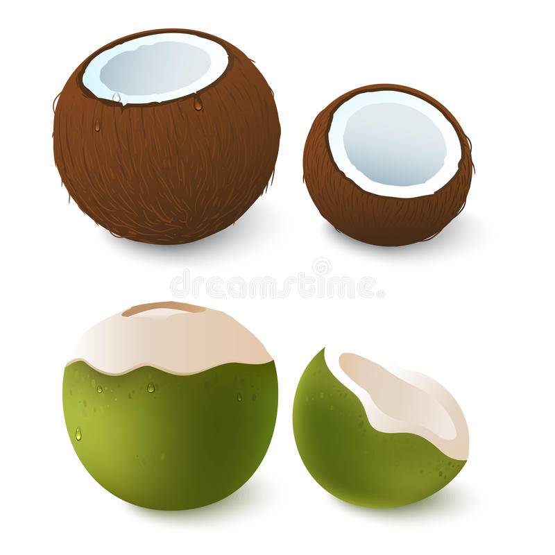 Разнообразие сортов авокадо