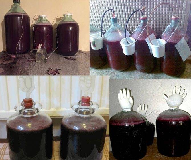 Виноградное вино в домашних условиях: рецепты приготовления