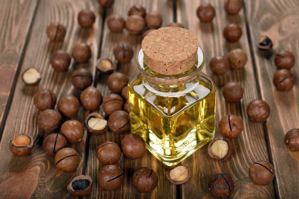 Полезные свойства и применение масла макадамии