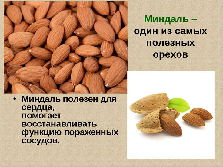 Несколько фактов о пользе и вреде ореха миндаль: полезные свойства и противопоказания