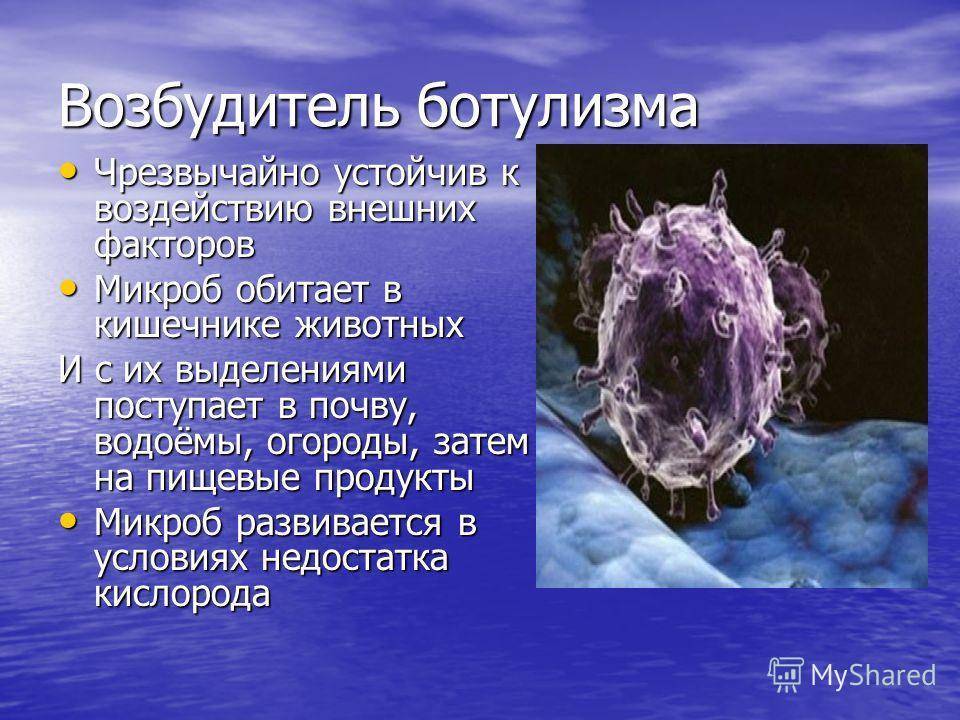 Как помочь организму при ротавирусной инфекции
