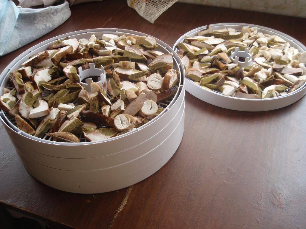Сушилка (дегидратор) для грибов своими руками статьи - интернет-магазин tp09.ru - теплые полы и системы обогрева