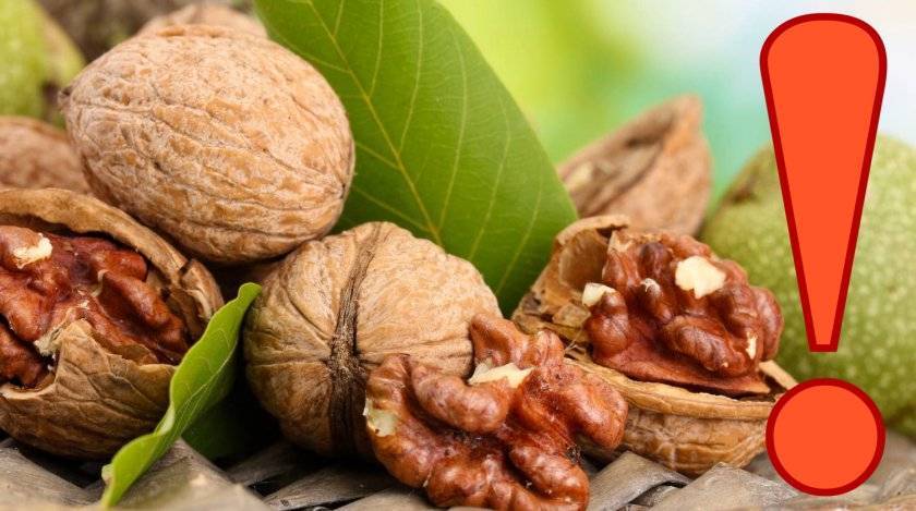 Полезны ли грецкие орехи при холестерине? - здоровая кровь