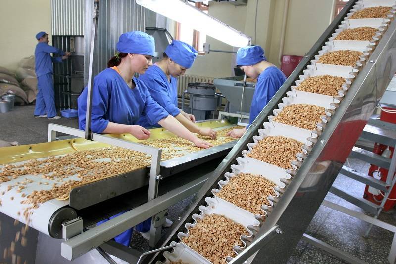 Бизнес на орехах – бизнес-план выращивания орехов