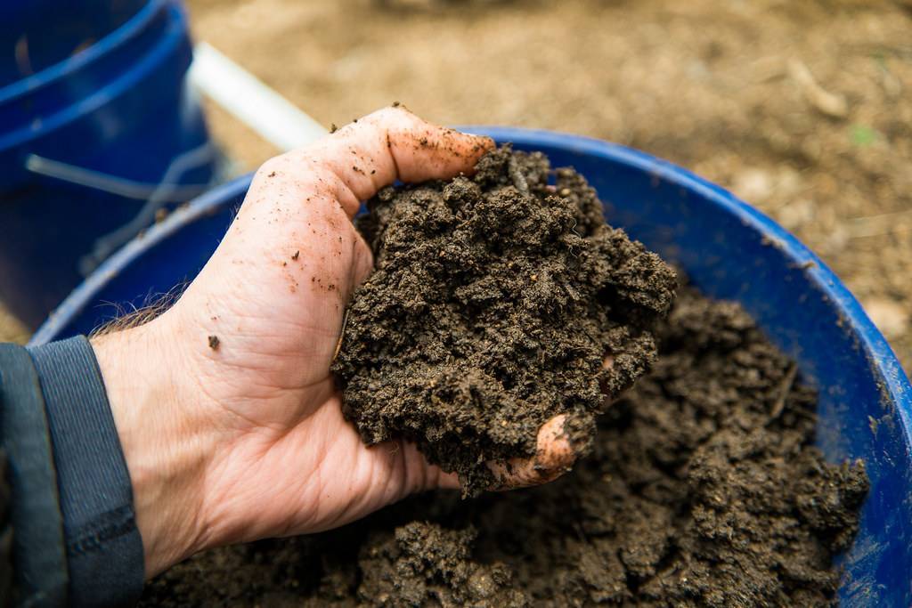 Как улучшить глинистую почву на участке: практические советы