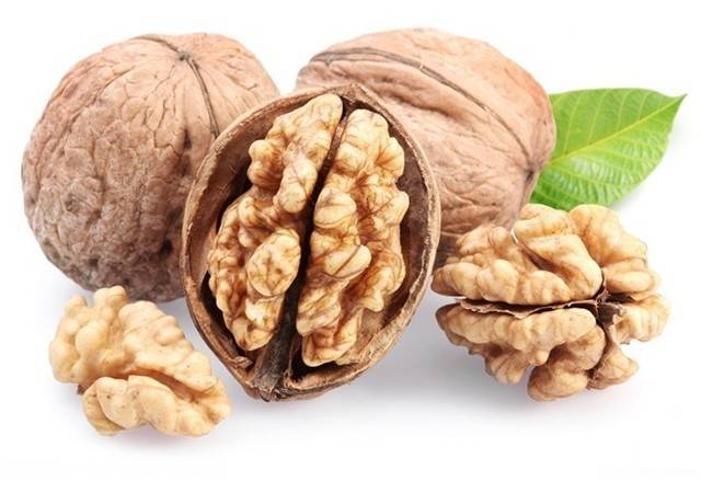 Скорлупа ореха макадамия — полезные свойства и применение