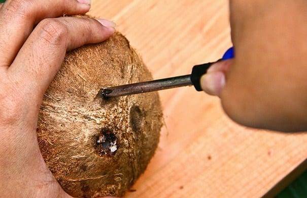 Как вскрыть, разрезать, разделать кокос дома