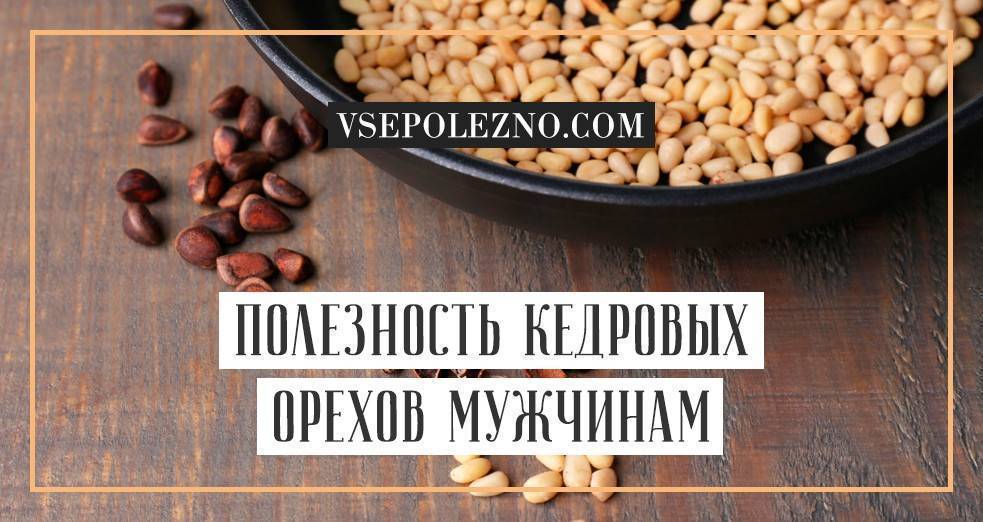 Полезные свойства кедровых орешков для мужчин